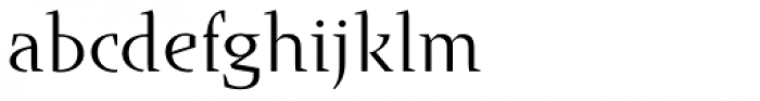 Runa Serif Std Light Font LOWERCASE