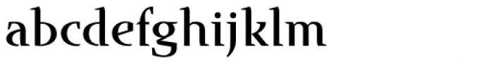 Runa Serif Std Medium Font LOWERCASE