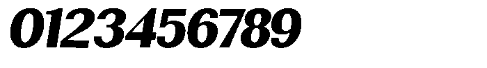 Rundale Black Italic Font OTHER CHARS