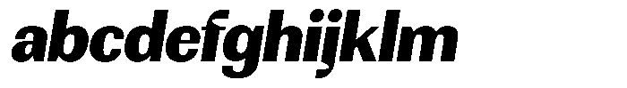 Rundale Black Italic FONT