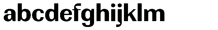 Rundale Bold Semi Expanded FONT