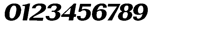 Rundale Extra Bold Exp Italic Font OTHER CHARS