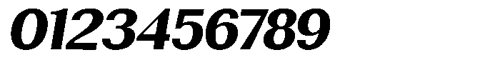 Rundale Extra Bold Sem Exp Italic Font OTHER CHARS