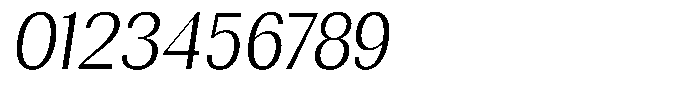 Rundale Light Semi Condensed Italic Font OTHER CHARS