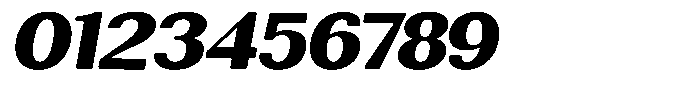 Rundale Round Black Exp Italic Font OTHER CHARS