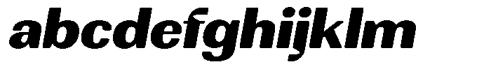 Rundale Round Black Exp Italic FONT