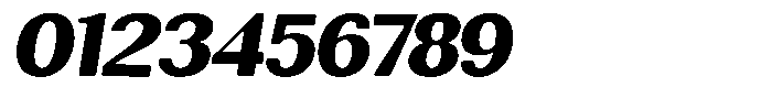 Rundale Round Black Sem Exp Italic Font OTHER CHARS