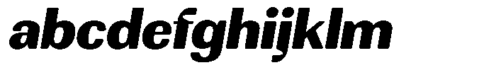 Rundale Round Black Sem Exp Italic FONT