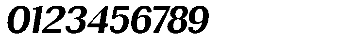 Rundale Round Bold Italic Font OTHER CHARS