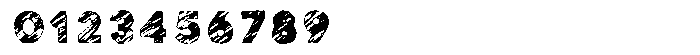 Rustic Grace Display Regular Font OTHER CHARS