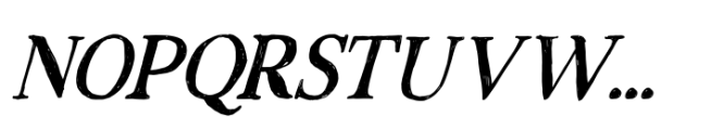Rustic TC Italic Font UPPERCASE