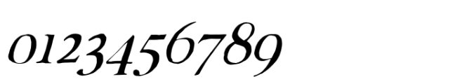 Rustic TC Solid Italic Light Font OTHER CHARS