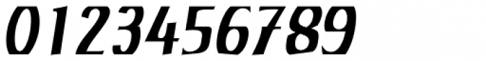 Rustikalis DT Medium Oblique Font OTHER CHARS