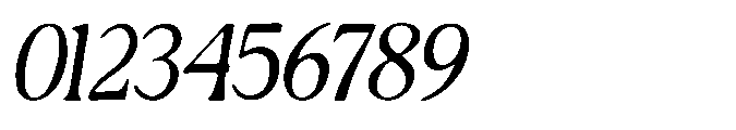 Rustique Serif Italic Font OTHER CHARS