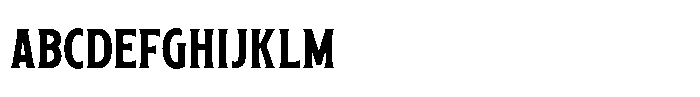 Rustvale Serif Bold Regular FONT