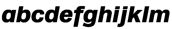 Runda BlackItalic Instance FONT
