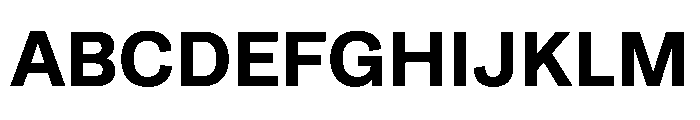 Runda Bold Instance Font UPPERCASE