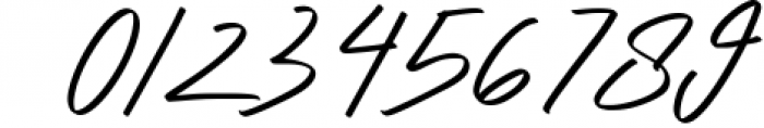 Ryland Heights Signature Script Font 1 Font OTHER CHARS