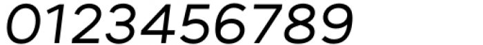 Ryker Regular Oblique Font OTHER CHARS