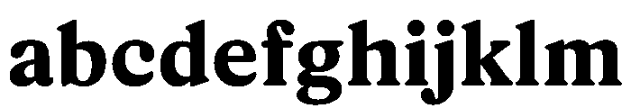 Rza Bold FONT