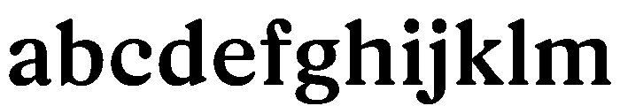Rza Medium FONT