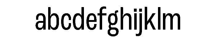 Salford Sans Variable Regular FONT