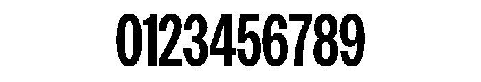 Salo Variable Bold Font OTHER CHARS