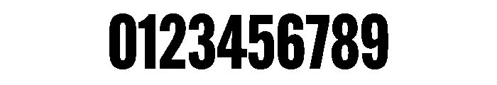 Salo Variable Extra Bold Font OTHER CHARS