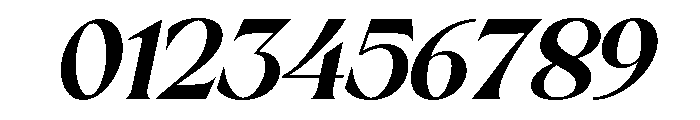 Sakem Elegance Bold Italic Font OTHER CHARS