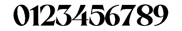 Sakem Elegance Heavy Font OTHER CHARS