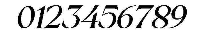 Sakem Elegance Italic Font OTHER CHARS