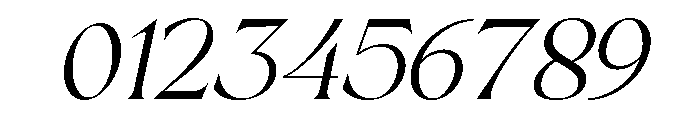Sakem Elegance Thin Italic Font OTHER CHARS