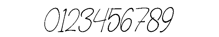 Salina Script Italic Font OTHER CHARS
