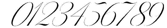 Sallintine Calligraphy Italic 1 Font OTHER CHARS