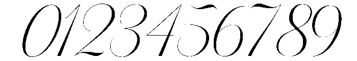 Sallintine Calligraphy Italic R Font OTHER CHARS