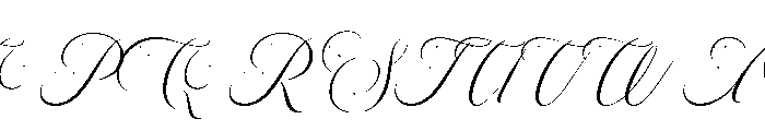 Sallintine Calligraphy Italic R Font UPPERCASE