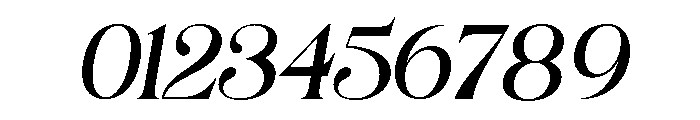 Saltive Italic Font OTHER CHARS