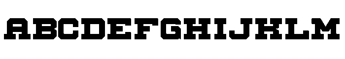 Santa Nurse Regular FONT