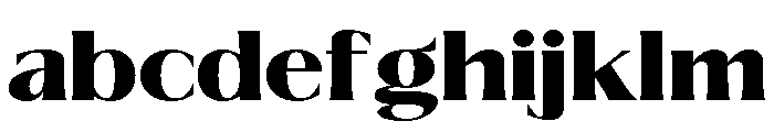 Savium FONT