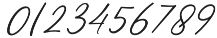Safarnama Signature Regular otf (400) Font OTHER CHARS