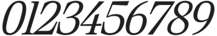 Saigon Italic otf (400) Font OTHER CHARS