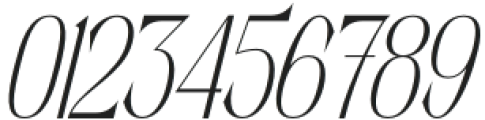 Salctego Italic otf (400) Font OTHER CHARS