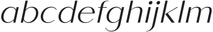 Saldo Light Italic otf (300) Font LOWERCASE