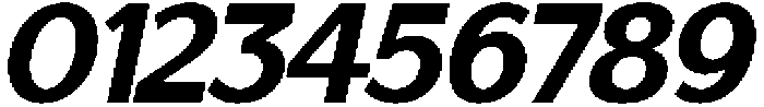 Saluna Italic Black otf (900) Font OTHER CHARS