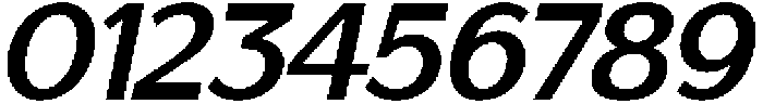 Saluna Italic Bold otf (700) Font OTHER CHARS