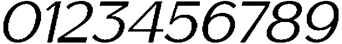 Saluna Italic Light otf (300) Font OTHER CHARS