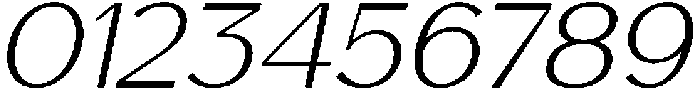 Saluna Italic Thin otf (100) Font OTHER CHARS