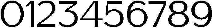 Saluna Light otf (300) Font OTHER CHARS