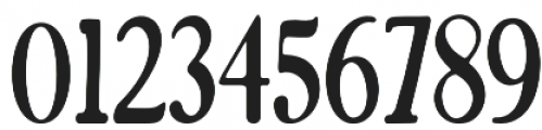 Santos Serif otf (400) Font OTHER CHARS