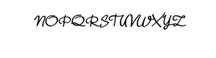 Salomon Signature Font UPPERCASE